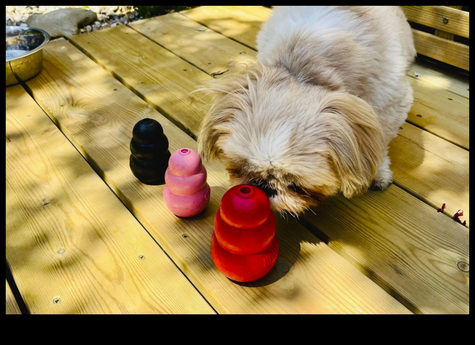 Getirmenin Ötesinde: Mutlu ve Sağlıklı Bir Köpek İçin Uyarıcı Oyunlar