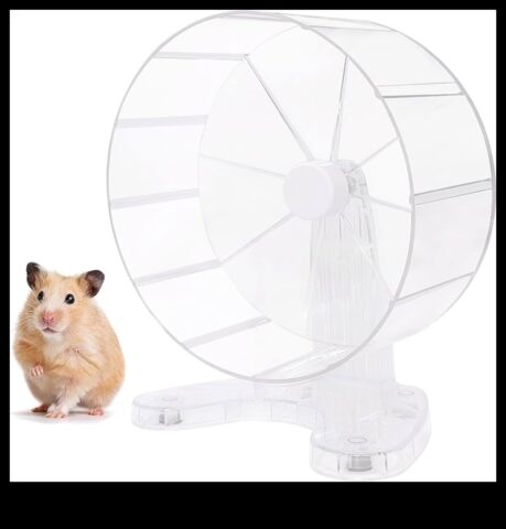 Hamster Tekerleği Seçenekleri Optimum Kullanım İçin Özelliklerin Değerlendirilmesine Devam Edildi